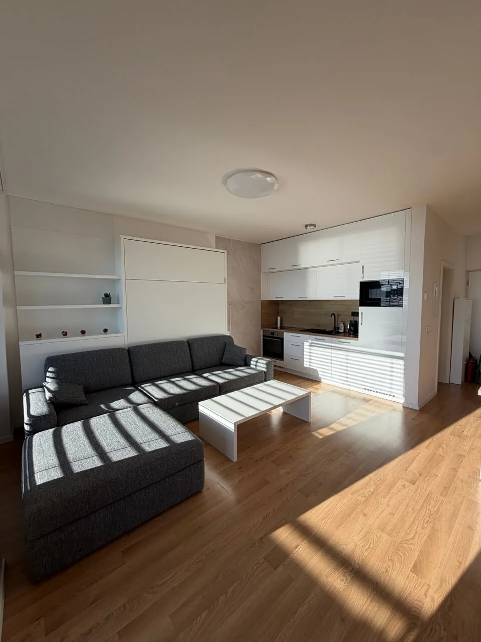Living room · Apartment Tehelko