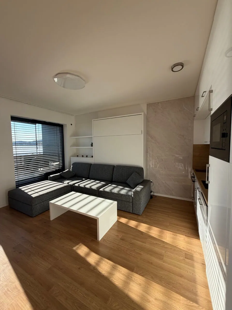 Living room · Apartment Tehelko