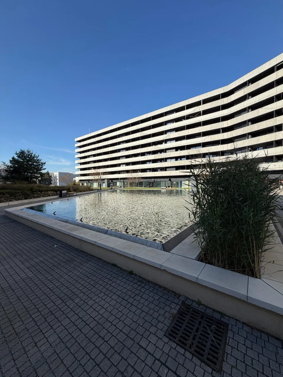 Neighbourhood · Apartment Tehelko